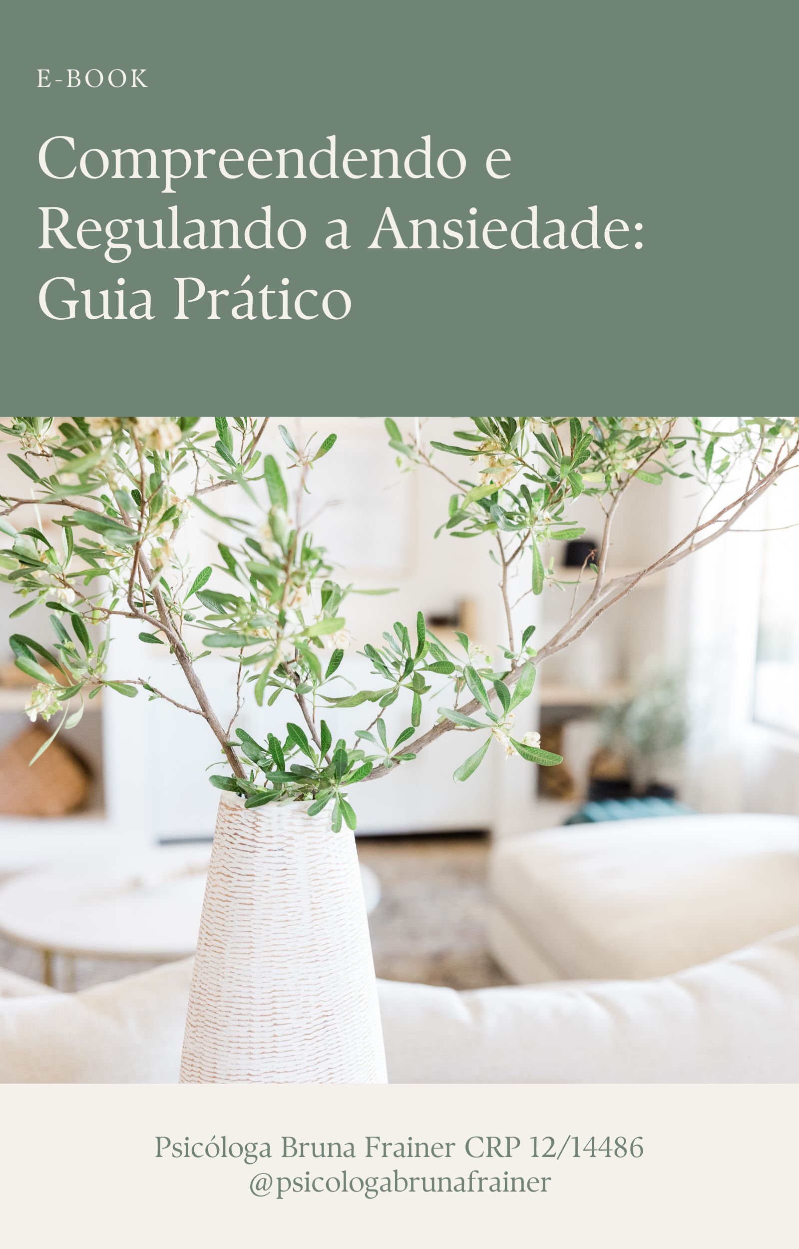 Capa do Ebook Gratuito